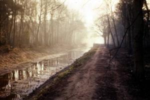 Basingstoke Canal