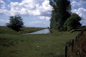 Royal Military Canal